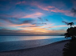 the-sunset-on-the-sea-beach-with-trees-and-white-sand
